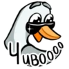 Pato Loco🦆💞1🇵🇪Clásica 11