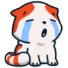 Gatitos💞16🇵🇪Clásica 15