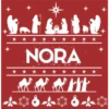 Pesebre  Navideño 17