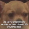 no voy a deprimirme se que es mas desarrollo de personaje