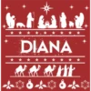Pesebre  Navideño 20