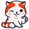 Gatitos💞16🇵🇪Clásica 16