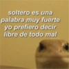 soltero es una palabra muy fuerte yo prefiero decir libre de todo mal