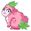 Pinky Bunny :: 12