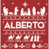 Pesebre  Navideño 21