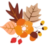 Lovely autumn 2017 24