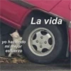 yo haciendo mi mejor esfuerzo La vida