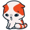 Gatitos💞16🇵🇪Clásica 21