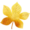 Lovely autumn 2017 26