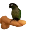Hanka’s fav stickers — 19