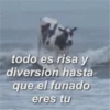 todo es risa y diversion hasta que el funado eres tu