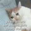 ya no quiero ser adulto, solo quiero dormir