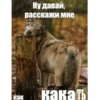 UpaBzol_by_achestickbot 25