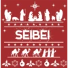 Pesebre  Navideño 26