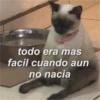 todo era mas facil cuando aun no nacia