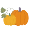 Lovely autumn 2017 29