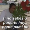 si no sabes q ponerte hoy,, ponte pami bb