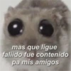 mas que ligue faliido fue contenido pa mis amigos