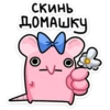 Кристина 24