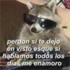 perdon si te dejo en visto esque si hablamos todos los dias me enamoro