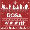 Pesebre  Navideño 30