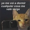 ya me voi a dormir cualquier cosa me vale verga