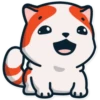 Gatitos💞16🇵🇪Clásica 29