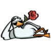Pato Loco🦆💞1🇵🇪Clásica 30