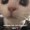 ЛYчьше стикеры - 5