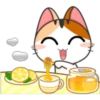 ❥Meow~ For Mishell 6.Extra 8