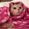 ЛYчьше стикеры - 10