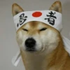 Derpy Animals — 13