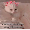 ЛYчьше стикеры - 12