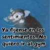 🧿Memes pop😎🤣 14
