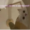 ЛYчьше стикеры - 14