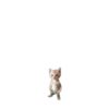 WAVYJGWCWL_by_stikers_du_ark_bot 19