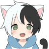 Black and white cat boy • 5