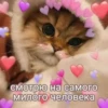 ЛYчьше стикеры - 15