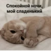 @hatersgoNNahateee 🐒 — 17