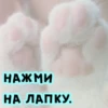 стики тYт 👉@aesthetic2k17 17