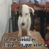 🧿Memes pop😎🤣 22