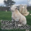 🧿Memes pop😎🤣 24