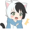 Black and white cat boy • 10