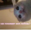 ЛYчьше стикеры - 24