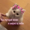 ЛYчьше стикеры - 25