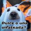 🧿Memes pop😎🤣 28