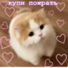 ЛYчьше стикеры - 27