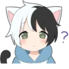 Black and white cat boy • 14