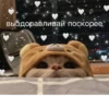 ЛYчьше стикеры - 29