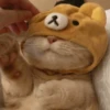 Cats cats cats — 2